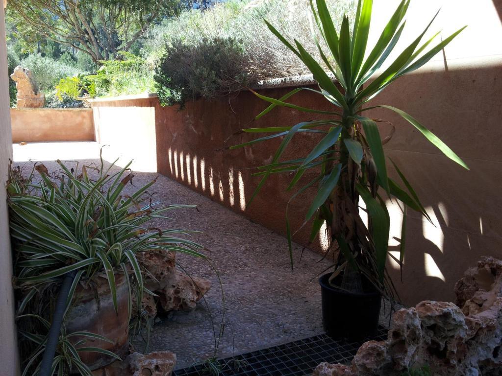 Agroturisme Es Picot Son Macia  Quarto foto